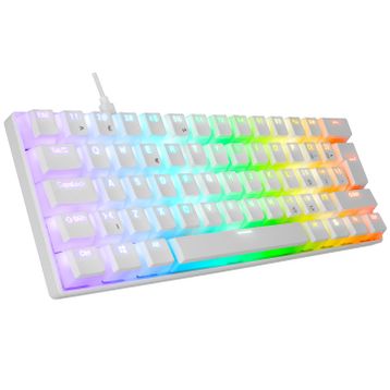 Everest Briar Beyaz RGB TKL Red Switch Kablolu Mekanik Gaming Klavye