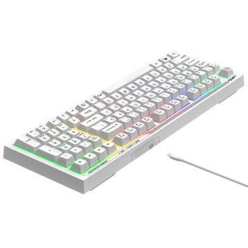 Everest Silent KB-98 Beyaz Membrane Switch Kablolu Oyuncu Klavyesi