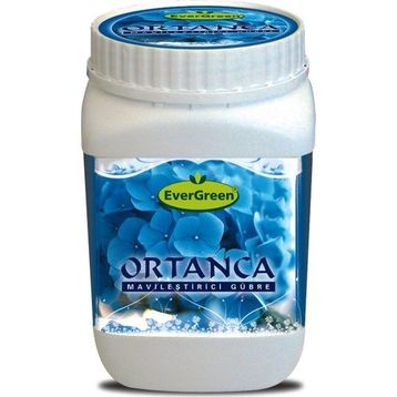 Evergreen Ortanca Mavileştirici 1 kg Gübre