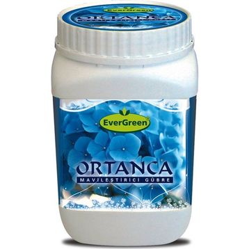 Evergreen Ortanca Mavileştirici 1 kg Gübre
