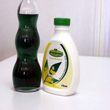 Evergreen Yaprak Sararmalarını Önleyici Tonik 500 ml Sıvı Bitki Besini