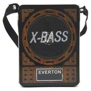 Everton RT-810 R Usb ve Kart Okuyuculu Radyo