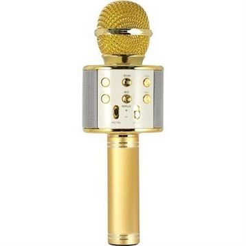 Evervox EVR KRK 02 Gold Karaoke Mikrofon