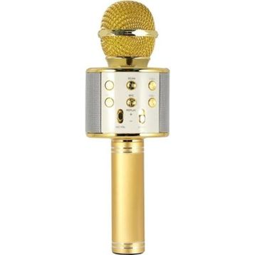 Evervox EVR KRK 02 Gold Karaoke Mikrofon