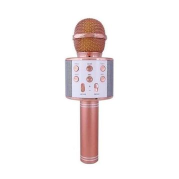 Evervox EVR KRK 02 Gold Karaoke Mikrofon