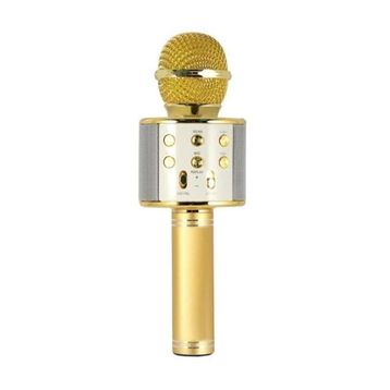 Evervox EVR KRK 02 Gold Karaoke Mikrofon