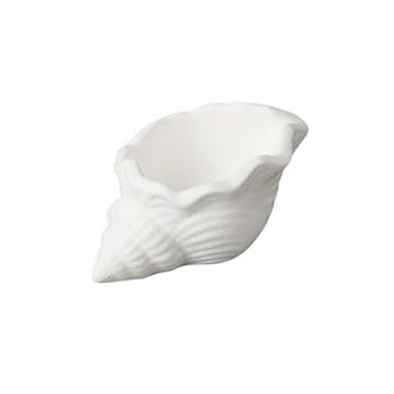 Evidea Deco Nautilius Beyaz 10 cm Dekor