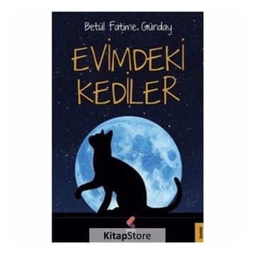 Evimdeki Kediler - Betül Fatime Günday