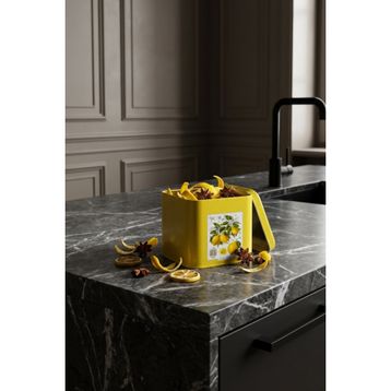 Evle EF014-Q5 Sn_citrus Limon Desenli Kare Metal Saklama Kabı