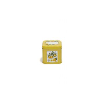 Evle EF014-Q5 Sn_citrus Limon Desenli Kare Metal Saklama Kabı