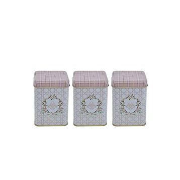 Evle ERB24U7 Rosy Kare Metal 3'lü Set Saklama Kabı