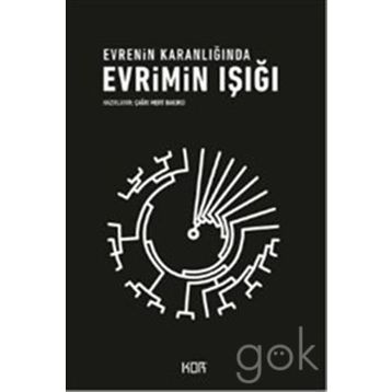 Evrimin Işığı Evrenin Karanlığında - Çağrı Mert Bakırcı