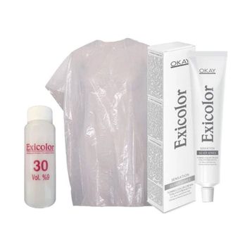 Exicolor 30 Volüm Peroksit + Boya Naylonu + Soğuk Gri 60 ml Tüp Saç Boyası