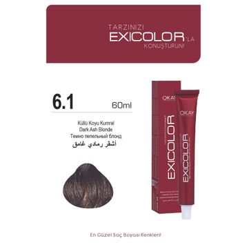 Exicolor 6.1 Küllü Koyu Kumral 60 ml Saç Boyası
