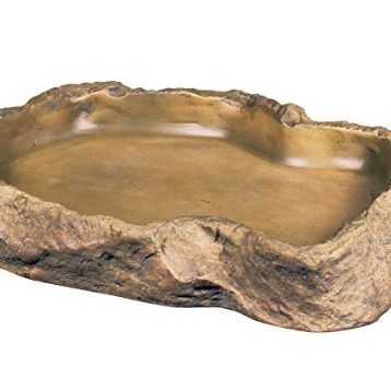 Exo Terra Sürüngen Yem Kabı