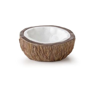 Exo Terra Water Dish Ex Coconut Su Kabı