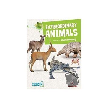 Extraordinary Animals - Sarah Sweeney