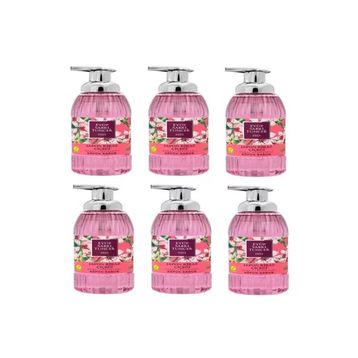 Eyüp Sabri Tuncer 500 ml Japon Kiraz Çiçeği Köpük Sabunu (2 adet)