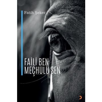 Faili Ben Meçhulü Sen - Fatih Şeker