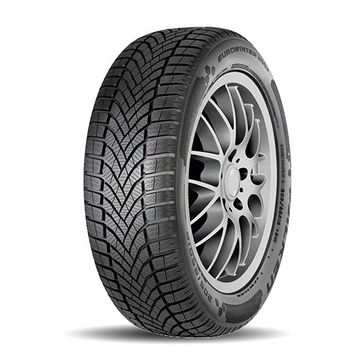 Falken 205/50 R17 93V XL Eurowinter HS02 Kış Lastiği