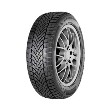 Falken Eurowinter HS02 205/55 R17 95V XL Kış Lastiği 2026