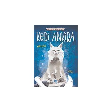 Fantastik Bir Ankara Macerası - Kedi Ankira