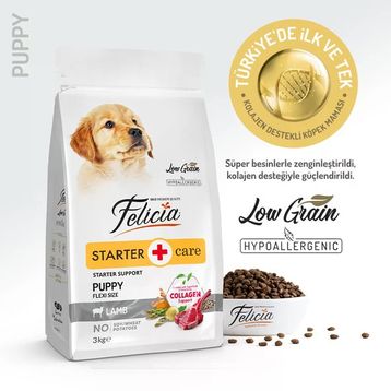 Felicia Hipoalerjenik Kuzulu Küçük ve Orta Irk Düşük Tahıllı 3 kg Yavru Köpek Maması
