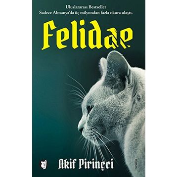 FELIDAE - AKIF PIRINÇCI