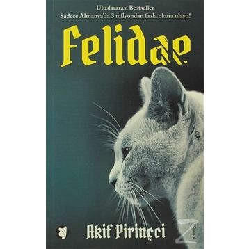 FELIDAE - AKIF PIRINÇCI