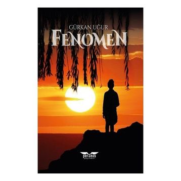 Fenomen Gürkan Uğur