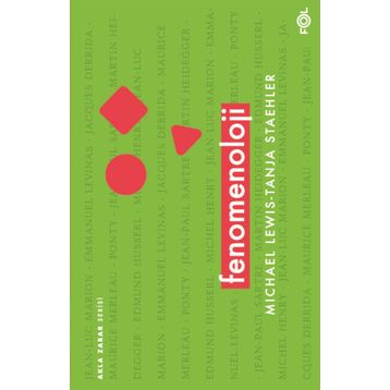 Fenomenoloji - Michael Lewis, Tanja Staehler
