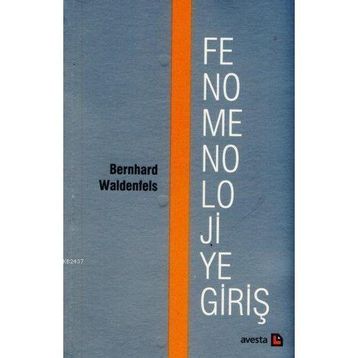 FENOMENOLOJIYE GİRİŞ - BERNHARD WALDENFELS
