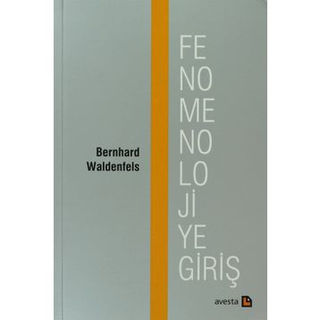 FENOMENOLOJIYE GİRİŞ - BERNHARD WALDENFELS