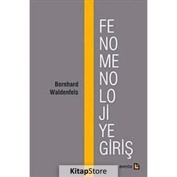 FENOMENOLOJIYE GİRİŞ - BERNHARD WALDENFELS