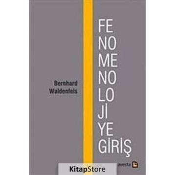 FENOMENOLOJIYE GİRİŞ - BERNHARD WALDENFELS