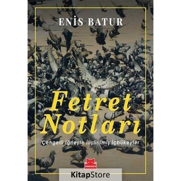 Fetret Notları - Enis Batur
