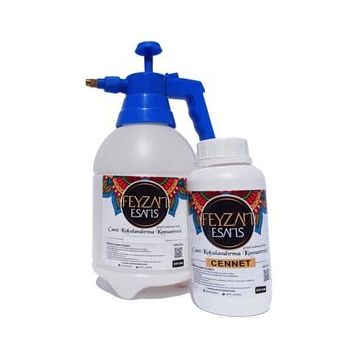 Feyzan Esans 250 gr Cennet Cami Kokusu