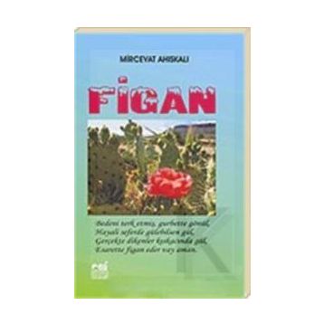 FIGAN - GENEL