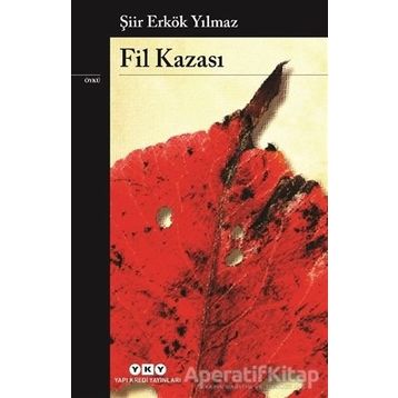 Fil Kazası - Erkök Yılmaz