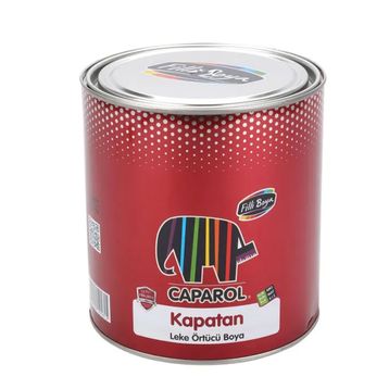 Filli Boya Caparol 2.5lt Kapatan