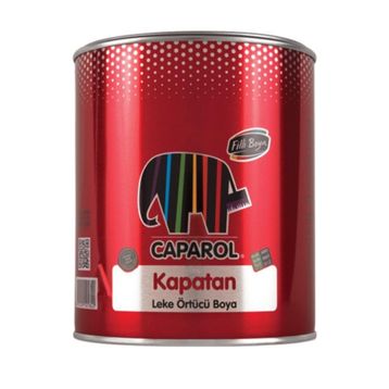 Filli Boya Kapatan 0.75 lt Leke Örtücü Boya