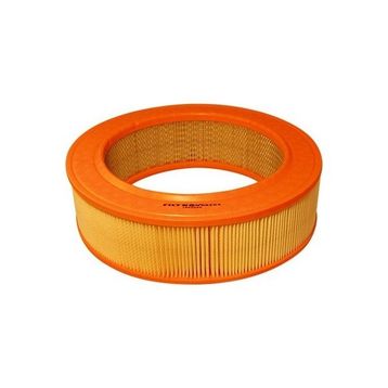 Filtron W123 79-85 S123 79-85 T1 Bus 601 89-96 Hava Filtresi