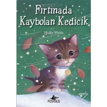 Fırtınada Kaybolan Kedicik - Holly Webb