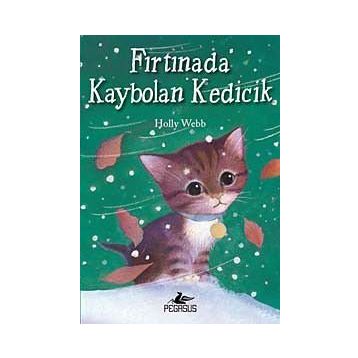 Fırtınada Kaybolan Kedicik - Holly Webb