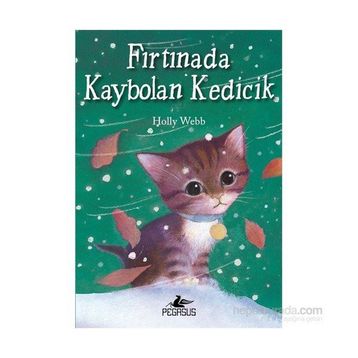 Fırtınada Kaybolan Kedicik - Holly Webb