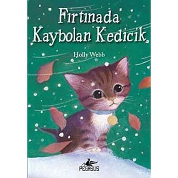 Fırtınada Kaybolan Kedicik - Holly Webb