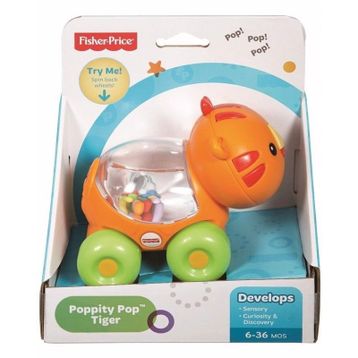 Fisher Price CMV97 Kaplan Poppity Araçlar