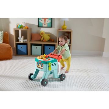 Fisher-Price JLM95 4'ü 1 Arada Işıklı Eğlen Öğren Alışveriş Sepeti Yürüteç