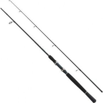Fladen 2P 240 cm 10-30 gr Xtra Flexx Spın Kamış