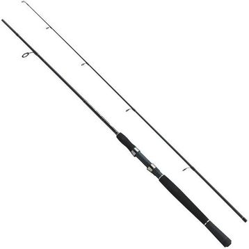 Fladen Xtra Flexx 165 50-100 gr Spin Kamış
